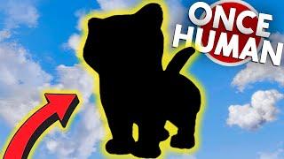 PLÖTZLICH TRAUM MUTATION.. ihr werdet es nicht glauben Once Human Deutsch #13 | 4K | Katze