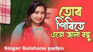 tor premete ato jala bondhu age janina. bangla song Singer Gulshana Parbin #singergulsanaparbin