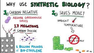 Applying Synthetic Biology to Reverse Climate Change