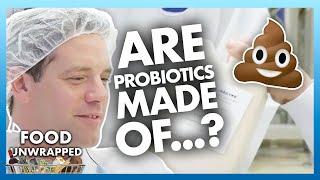 What are the probiotics in our food? 