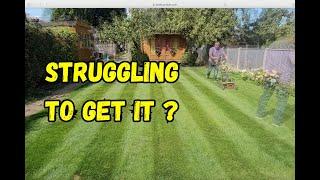 lawn care really can be simple just get the basics down