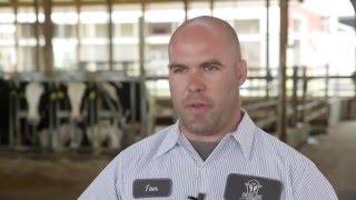 Lely Dairy XL - Swisslane Farm - EN