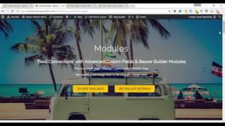 Beaver Themer - Field Connectors & Modules Demo