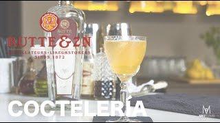 Coctelería Rutte Gin: Dutch Martini