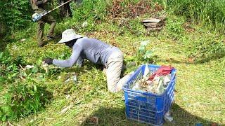 We couldn't access the inside, so we cut the overgrown grass and picked up trash on the sidewalk