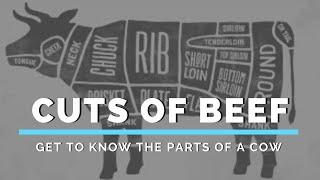 Cuts of Beef (Get to Know the Parts of a Cow)