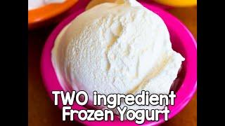 TWO ingredient frozen yogurt! (Yes, really!)