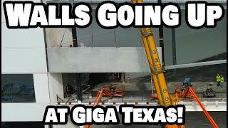WALLS GOING UP ON SOUTHEND EXPANSION AT GIGA TEXAS! - Tesla Gigafactory Austin 4K  Day 6/10/24