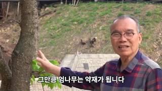 두레마을 나무, 숲 자랑합니다 - 김진홍목사 [홍영감]