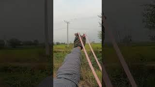 Slingshot Hunting Wild Birds  #slinghshothunting #taseerhuntingofficial #hunting #birdshunting