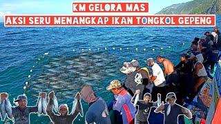 km gelora mas ll aksi seru menangkap ikan tongkol gepeng