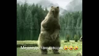 Медведь-танцовщик