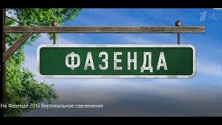 Вертикальное Озеленение на стене в Беседке на программе Фазенда. Первый канал. #фазенда #озеленение