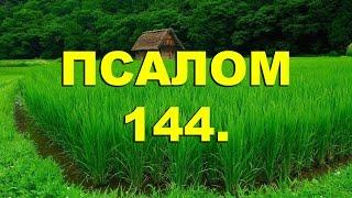 Псалтирь. ПСАЛОМ 144. [рус.]