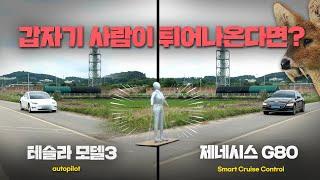 테슬라 모델3 VS 제네시스 G80 주행 중 갑자기 사람이 튀어나온다면? | 대신해드립니다