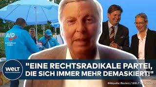 AFD IN DER KRISE: Bosbach "Der Elefant im Raum ist die Migrationspolitik!" SS-Skandal um Krah!