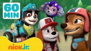 PAW Patrol | Trefft die NEUEN PAW Patrol-Mitglieder! | Nick Jr. Deutschland