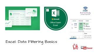 Data Filtering in Excel