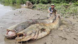 PESCA AL PESCE SILURO: BIG IN BREAK-LINE CON IL FIUME IN PIENA by Yuri Grisendi