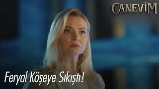 Feryal köşeye sıkıştı! - Canevim