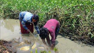 குட்டை பள்ளத்த குழப்பி மீன்களை வேட்டையாட போறோம்..  PART-3 |Traditional fishing in the lake |#venu