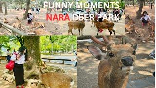 Vlog-19 | Nara Deer Park | Japan