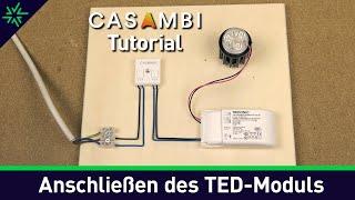 Casambi Tutorial - Anschließen des Casambi TED-Moduls