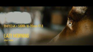 BMPCC 4K + SIGMA 18-35mm / Davinci Resolve color grade + Artlist / Cinematic short film