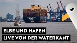 Elbe und Hafen-Flair live von der Waterkant   Das Treiben im Hamburger Hafen