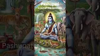 9. Pashupati - Lord of the Animals #LordShiva #Shiva #ShivaArt #ShivaShakti #Mahadev #ShivBhakti