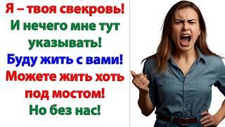 Вас бросил муж! От вас сбежал младший сын! И вот вы приперлись! И решили отравить жизнь теперь нам?