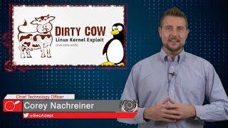 Dirty COW in the Wild - Daily Security Byte