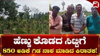 Mysore: ಹೆಣ್ಣು ಕೊಡದ ಸಿಟ್ಟಿಗೆ 850 ಅಡಿಕೆ ಗಿಡ ನಾಶ ಮಾಡಿದ ಕಿರಾತಕ! Dighvijay News