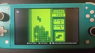 Tetris Switch Online Nintendo Switch Lite Gameplay