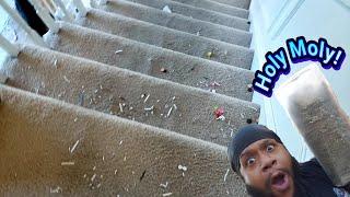 Extremely Crunchy Vacuuming |Crazy clean Carpet lines | Carpet cleaning vlog Episode 276