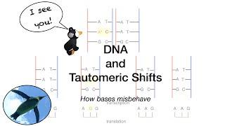 DNA and Tautomeric Shifts