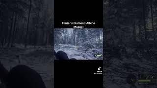 theHunter : Call of the Wild | Flinter Takes Down Diamond Albino Moose Super Close!