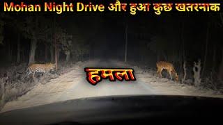 Mohan's CRAZY Night Drive | Encounters with Tiger and Leopard