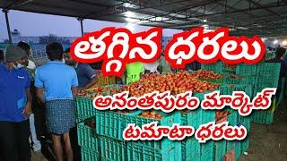 today Anantapur tomato market rates/Today tomato price/ Anantapur tomato rates #agriculture