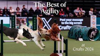 The BEST of Agility at Crufts 2024