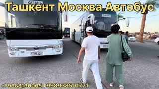 ташкент москва автобус прямой рейс москва ташкент автобус прямой рейс