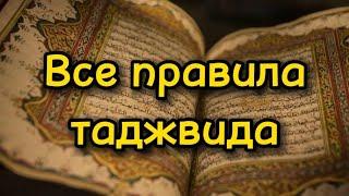 Все правила таджвида в одном видео!