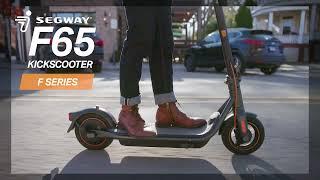 Segway-Ninebot F65 Kickscooter