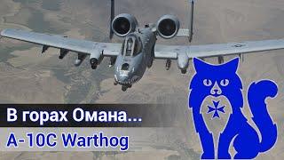 A-10C Warthog - В горах Омана... (DCS World Stream) | WaffenCat