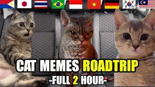 Cat MEMES Roatrip Compilation Full 2 Hour