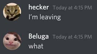 hecker leaves beluga...