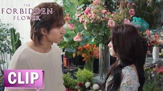 EP22 CLIP | He Ran still can't let go of Xiao Han【夏花 The Forbidden Flower】