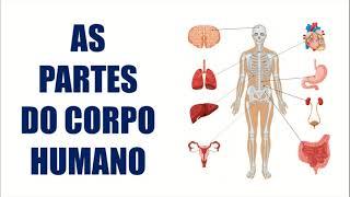 AS PARTES DO CORPO HUMANO | RESUMO ESCOLAR