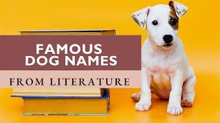 500+ Unique Literary Dog Names for Male and Female Puppies