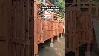 kandang kambing 8x1,7meter Kediri #videoshort #masekoternak #shorts